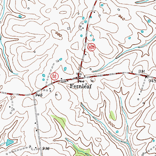 Topographic Map of Fernleaf, KY