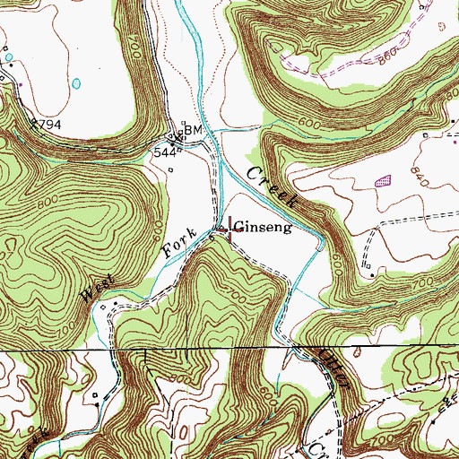 Topographic Map of Ginseng, KY