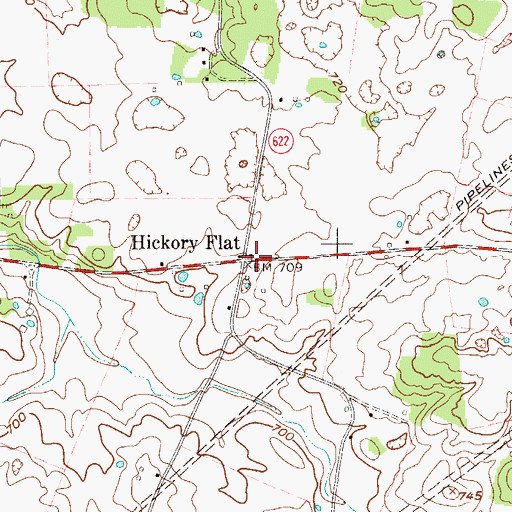 Topographic Map of Hickory Flat, KY