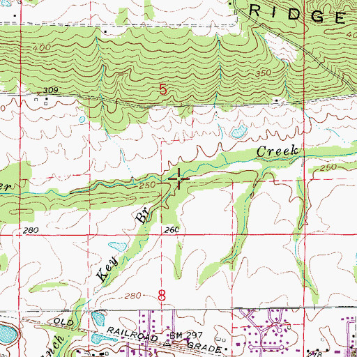 Topographic Map of Key Branch, AR