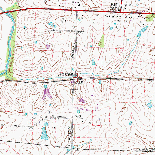 Topographic Map of Joyes, KY