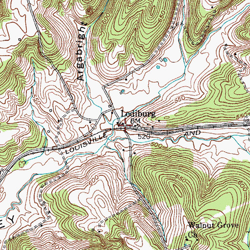 Topographic Map of Lodiburg, KY