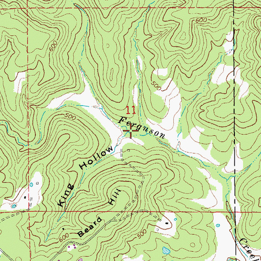 Topographic Map of King Hollow, AR