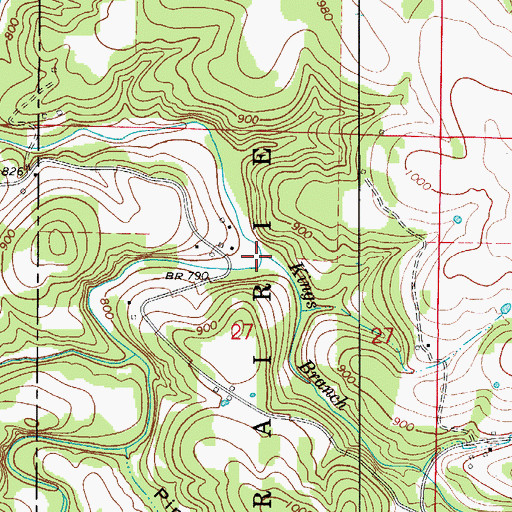 Topographic Map of Kings Branch, AR