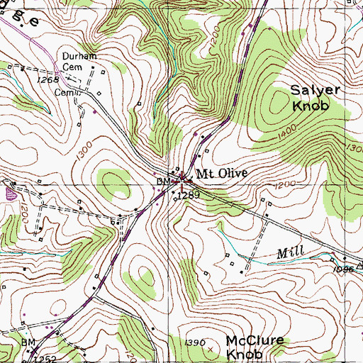 Topographic Map of Mount Olive, KY