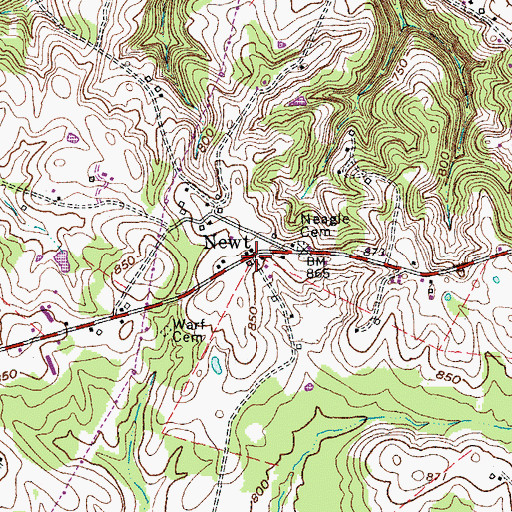 Topographic Map of Newt, KY