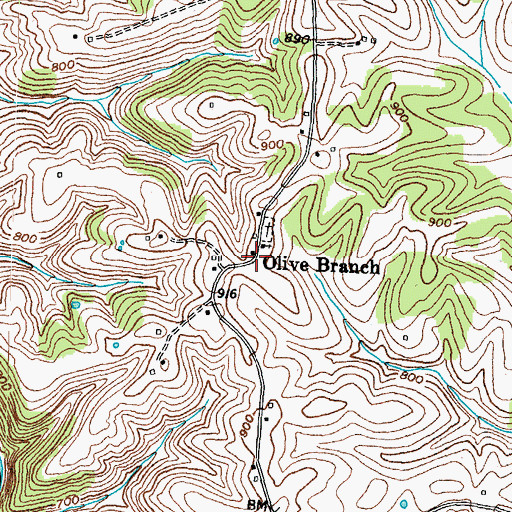 Topographic Map of Olive Branch, KY