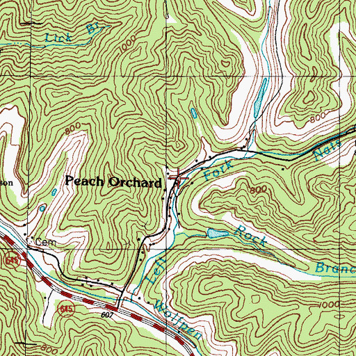 Topographic Map of Peach Orchard, KY