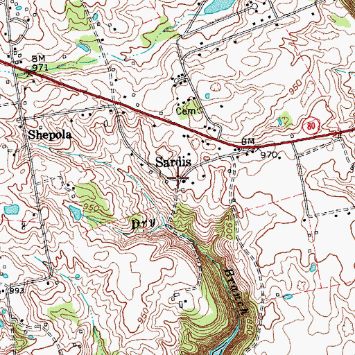 Topographic Map of Sardis, KY