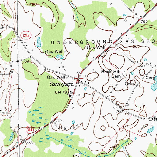 Topographic Map of Savoyard, KY