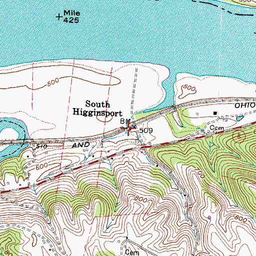 Topographic Map of South Higginsport, KY