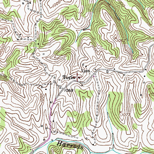 Topographic Map of Toria, KY