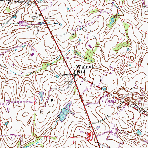 Topographic Map of Walnut Hill, KY