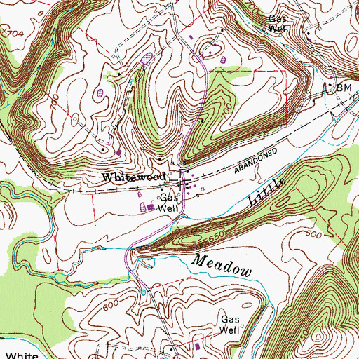 Topographic Map of Whitewood, KY