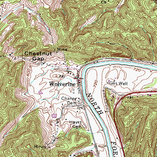 Topographic Map of Wolverine, KY