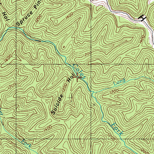 Topographic Map of Suicide Hollow, KY
