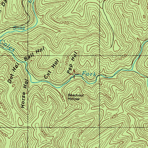 Topographic Map of Pep Hollow, KY
