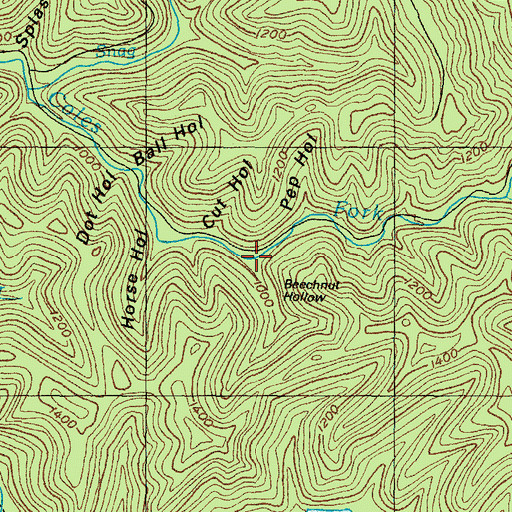Topographic Map of Beechnut Hollow, KY