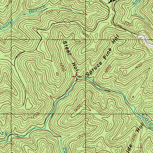 Topographic Map of Steer Hollow, KY