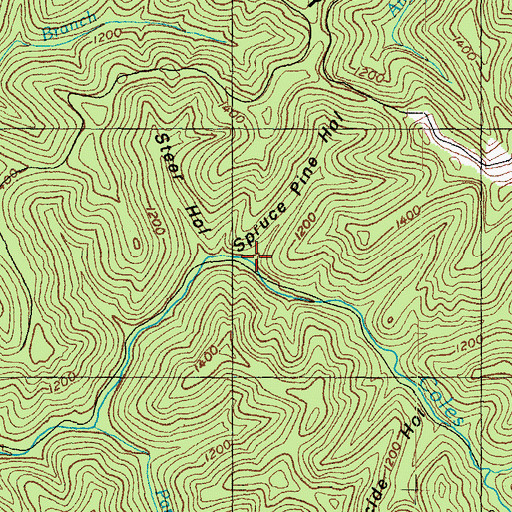 Topographic Map of Spruce Pine Hollow, KY
