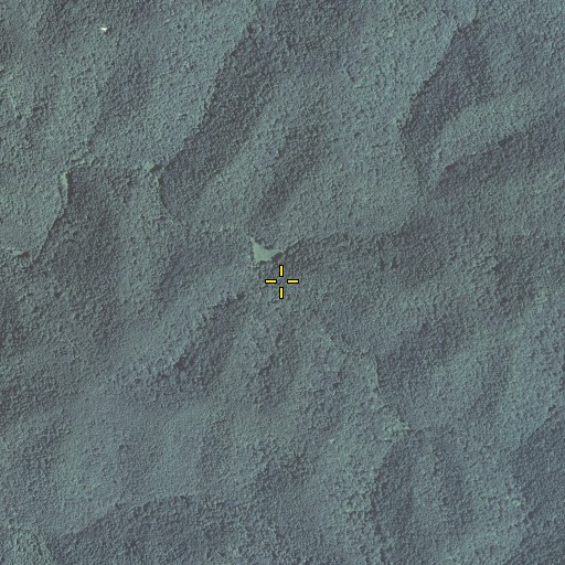 Aerial/Satellite Image of Spring Fork, KY
