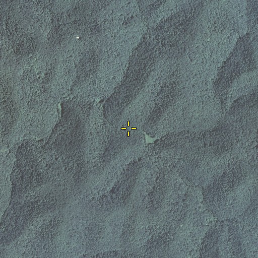 Aerial/Satellite Image of Pencil Fork, KY