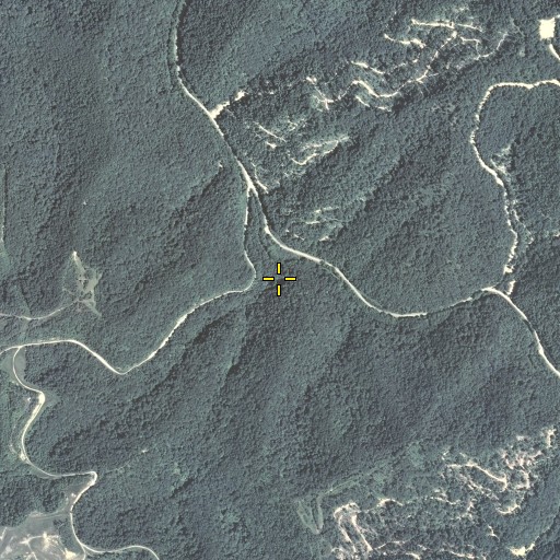 Aerial/Satellite Image of Duck Branch, KY