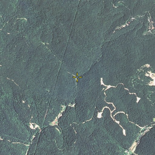 Aerial/Satellite Image of Pine Branch, KY