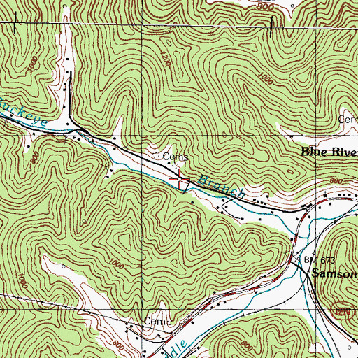 Topographic Map of Buckeye School (historical), KY