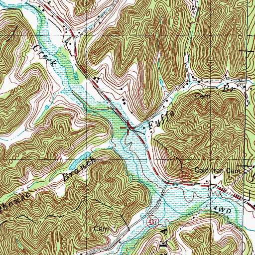 Topographic Map of Fyffe Branch, KY