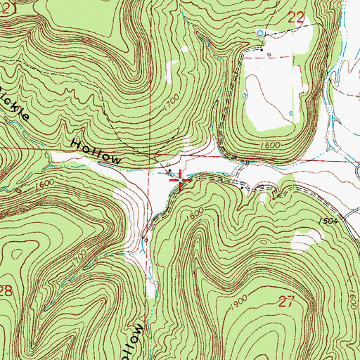 Topographic Map of Lawson Hollow, AR