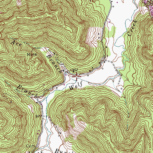 Topographic Map of Ace Branch, KY