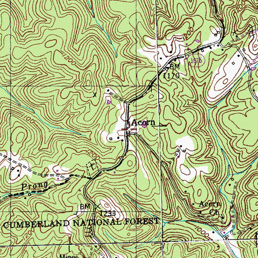 Topographic Map of Acorn, KY
