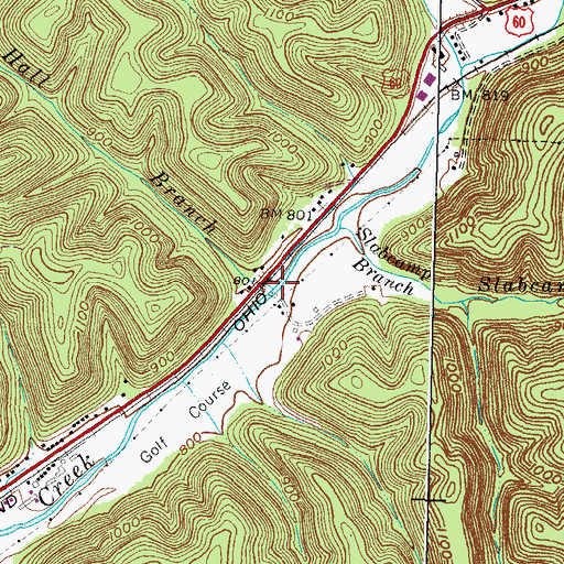 Topographic Map of Alec Hall Branch, KY