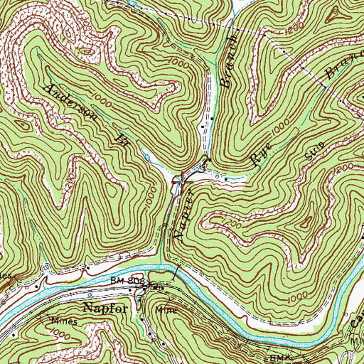 Topographic Map of Anderson Branch, KY