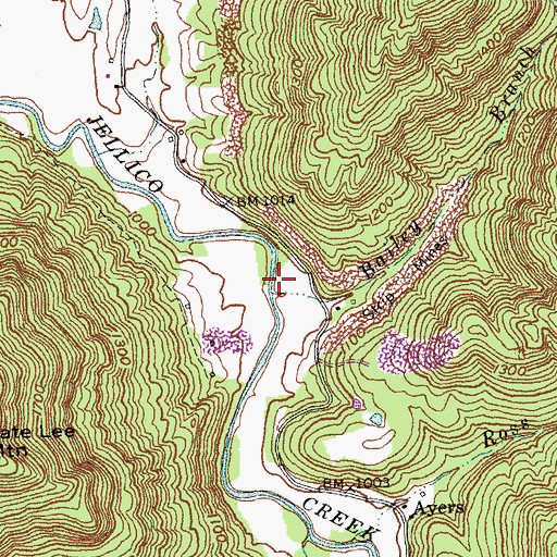 Topographic Map of Bailey Branch, KY