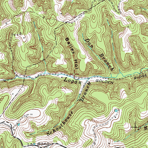 Topographic Map of Bailey Hollow, KY