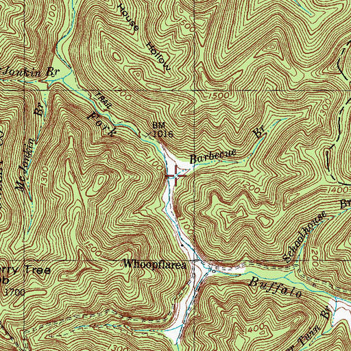 Topographic Map of Barbecue Branch, KY