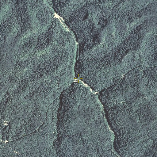 Aerial/Satellite Image of Barker Branch, KY