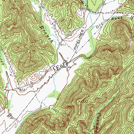Topographic Map of Bean Branch, KY