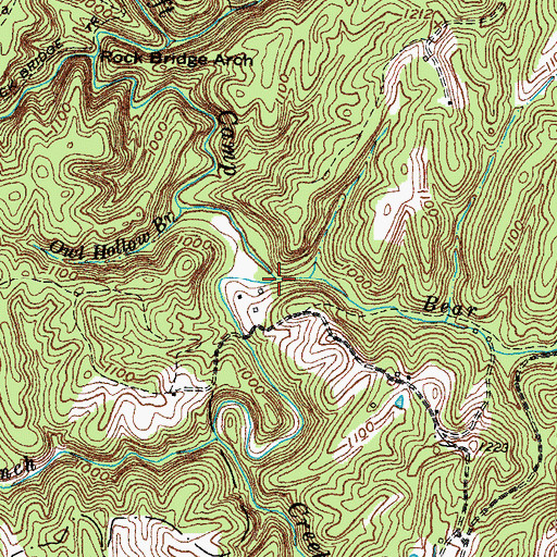 Topographic Map of Bear Branch, KY