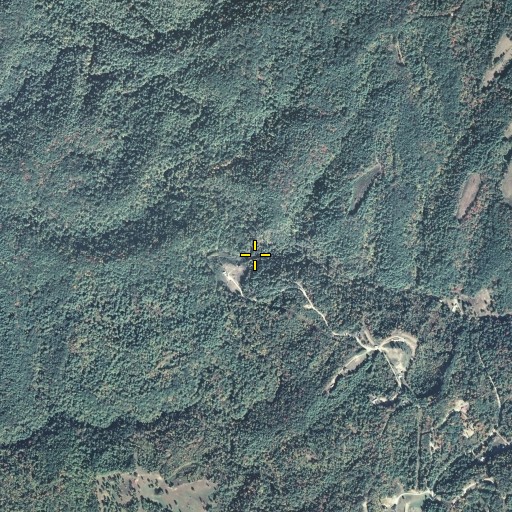 Aerial/Satellite Image of Bear Branch, KY