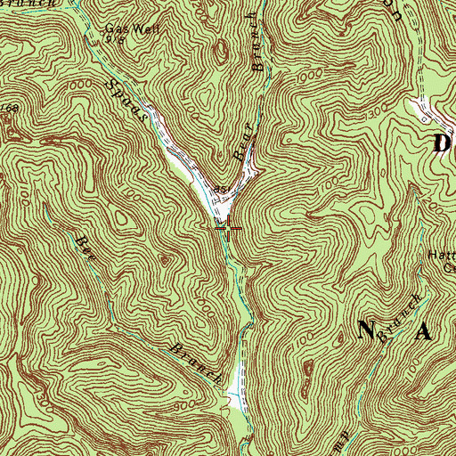 Topographic Map of Bear Branch, KY