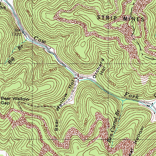 Topographic Map of Bear Wallow Hollow, KY