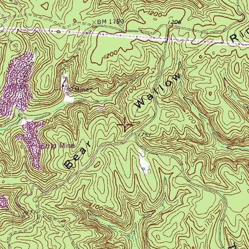 Topographic Map of Bear Wallow Ridge, KY