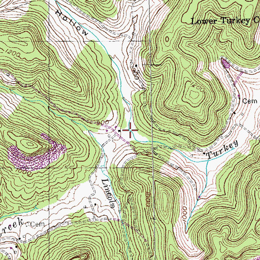 Topographic Map of Bearskin Hollow, KY
