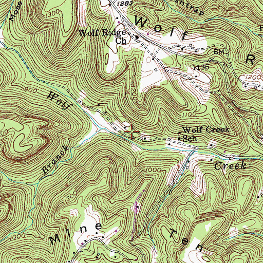 Topographic Map of Bee Branch, KY