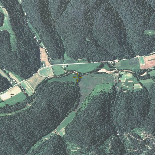 Aerial/Satellite Image of Bee Branch, KY