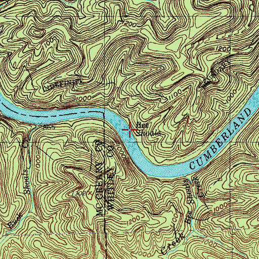 Topographic Map of Bee Shoals, KY