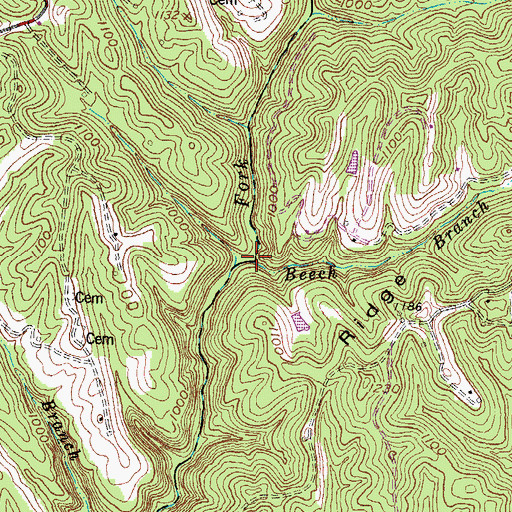 Topographic Map of Beech Branch, KY